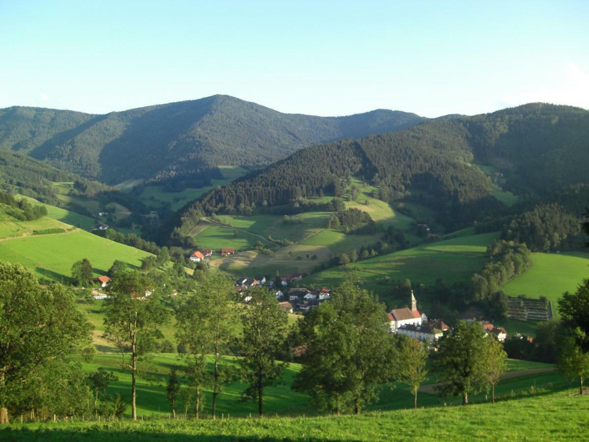 Weitblick "Entspannen - Wohlfuehlen - Aktiv Erholen" Elzach Exterior foto