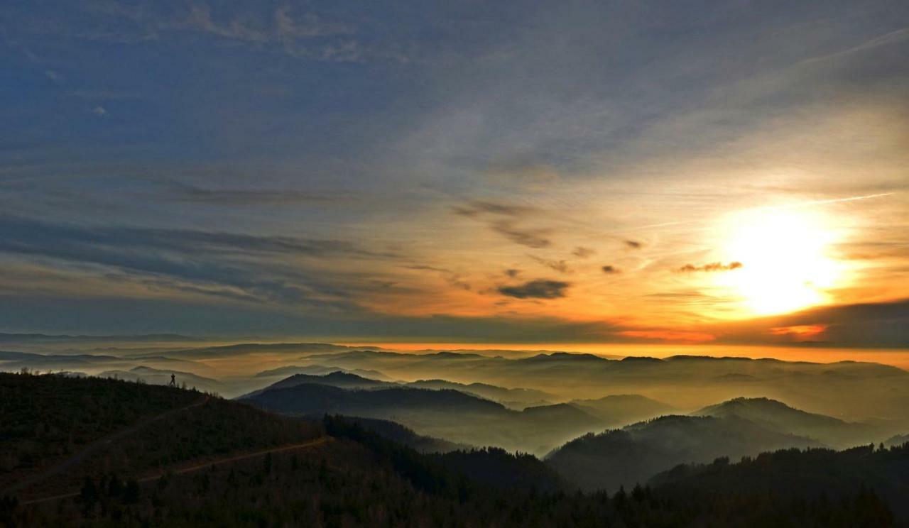Weitblick "Entspannen - Wohlfuehlen - Aktiv Erholen" Elzach Exterior foto