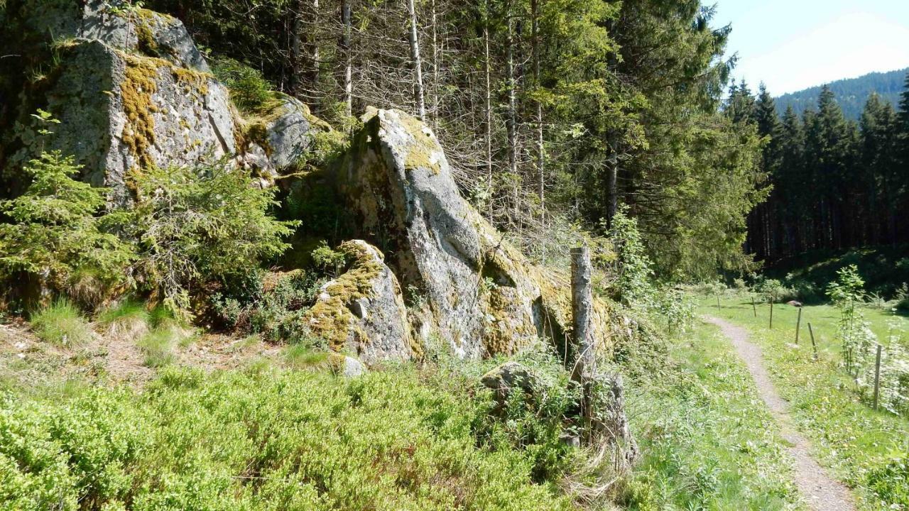 Weitblick "Entspannen - Wohlfuehlen - Aktiv Erholen" Elzach Exterior foto
