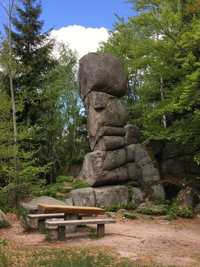 Weitblick "Entspannen - Wohlfuehlen - Aktiv Erholen" Elzach Exterior foto